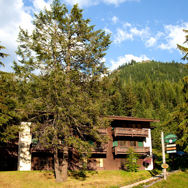 village-inn