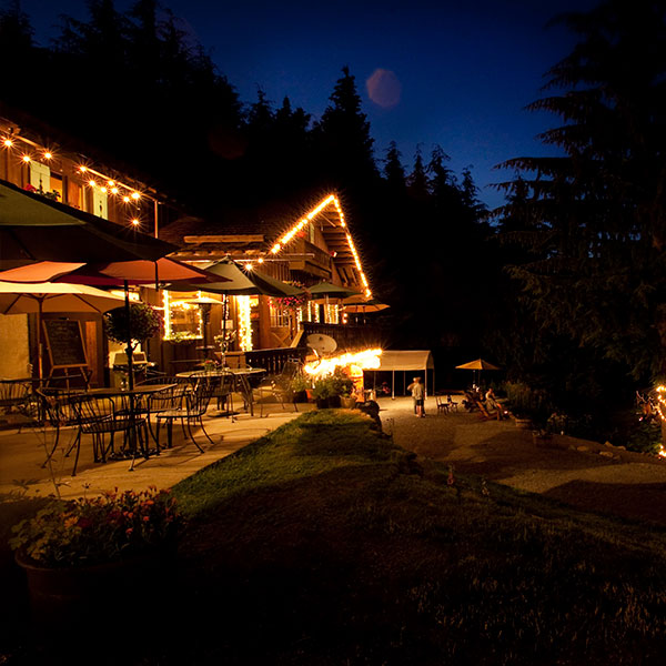 alpine-night