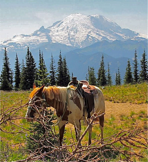 horseback-riding-crystal-mountain