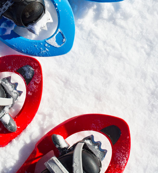 snowshoes