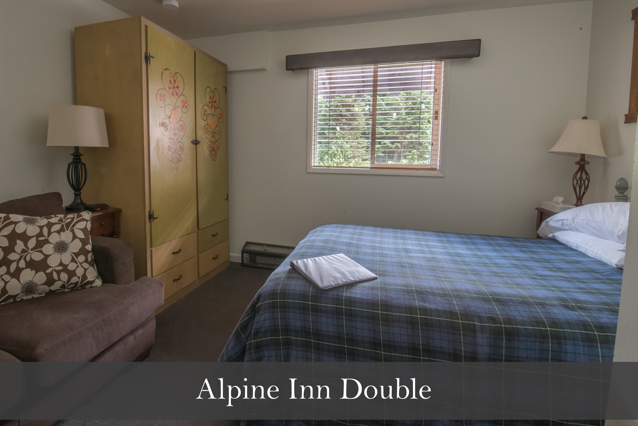 alpine 1