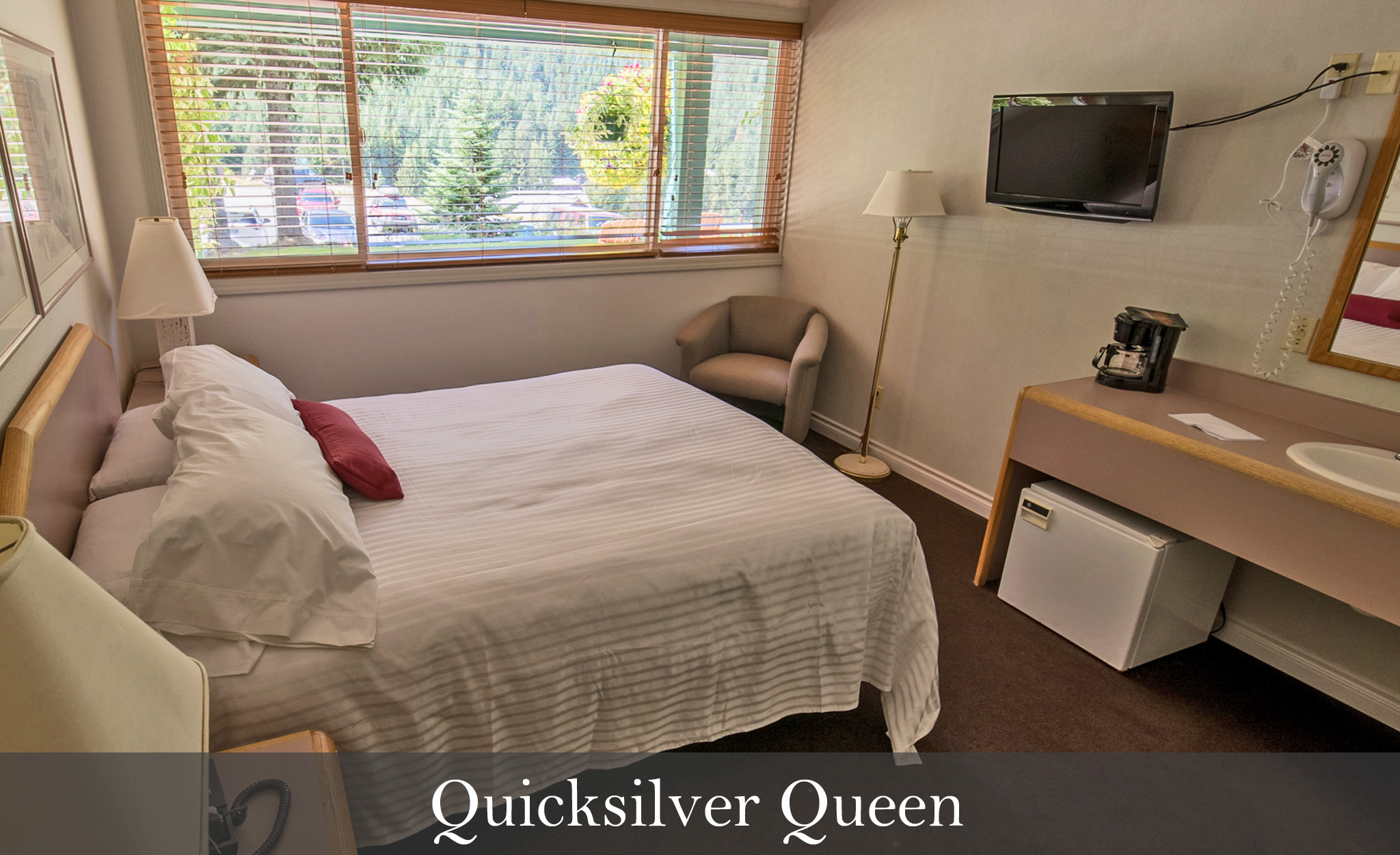 quicksilver queen new